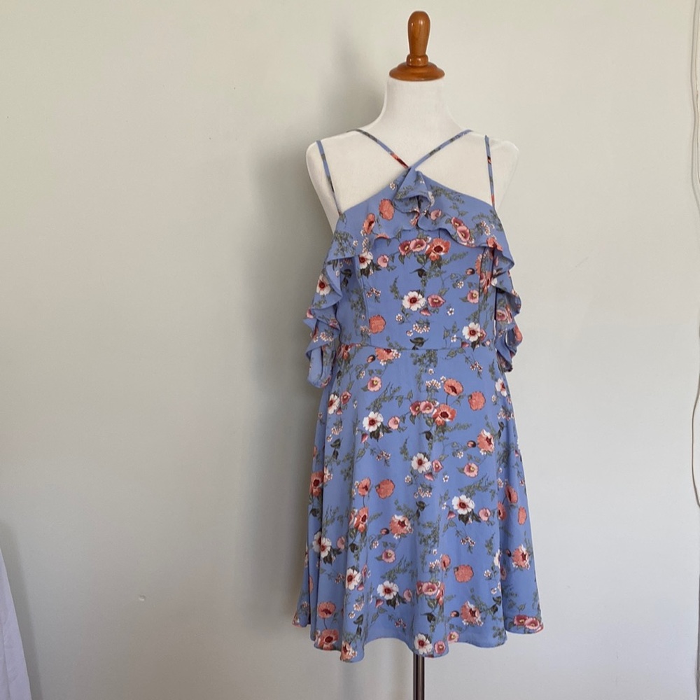 Blue Floral Dress Francesca’s